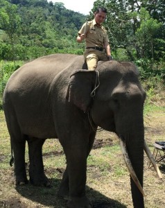 Gajah Jinak di CRU PRG