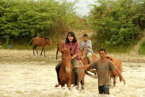 Presenter Jejak Petualang Stella Florensia Hutajulu di ajak belajar merawat kuda pacu tradisional Gayo di Desa Rerebe, Tripe Jaya (dok. Diansyah)