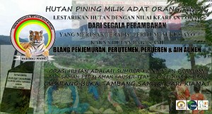 Kampanye Hutan Pining