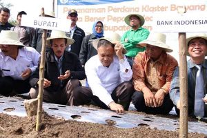 Plt Bupati Bener Meriah