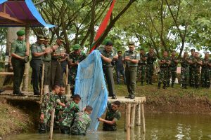 Tabur Benih Ikan Lele