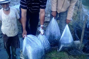 Tgk. H. Aman Aidi