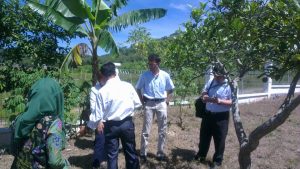 JICA tinjau Kebun Jeruk Sayur