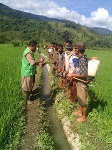 Aktifitas penyuluhan pertanian di lapangan