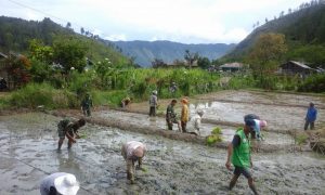 Aktivitas penyuluh di lapangan