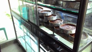 Kue ade tersusun dalam loyang