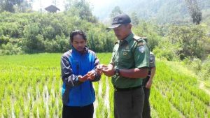 Kapten Iwan Mulyawan