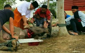 rps20160912_170446_080