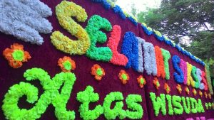 img-20161006-wa0000