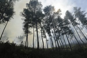 Foto : Khairul Abdi