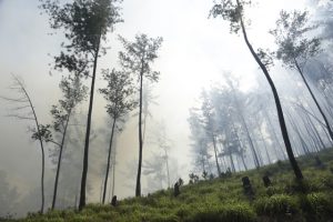 Foto : Khairul Abdi