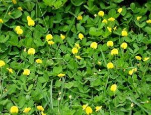 picsart_11-21-12-32-09