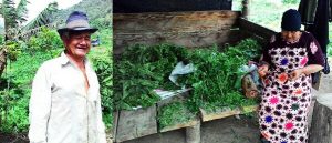 Aman Ruhdi Taruk Jepang