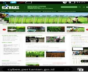 tampilan-cyber-extension-kementan