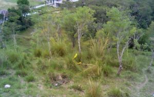 Lokasi Jurang Kecelakaan Sepmor Matic Menuju Objek Wisata Pantan Terong