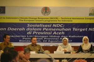 Sosialisasi NDC