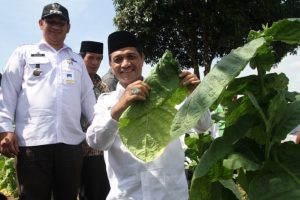 Wabup Firdaus