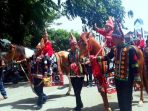 Kuda Gayo