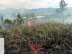 Kebakaran Lahan Kosong