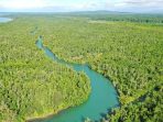 Hutan